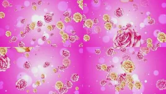 粉色玫瑰花粒子动态背景高清在线视频素材下载