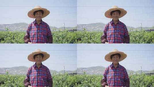 老农民手捧新鲜采摘的蓝莓微笑高清在线视频素材下载