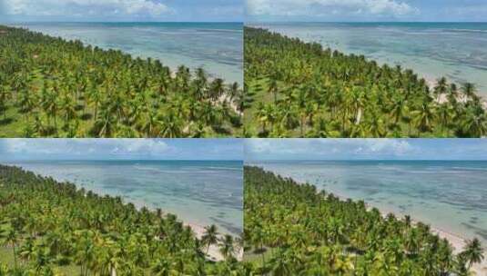帕塔乔海滩在圣米格尔多斯Milagres Alagoas巴西。高清在线视频素材下载