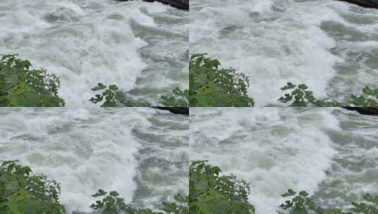 滔滔江河绿植前景高清在线视频素材下载