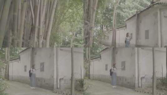 女孩漫步竹林欣赏乡村田间风景灰片高清在线视频素材下载