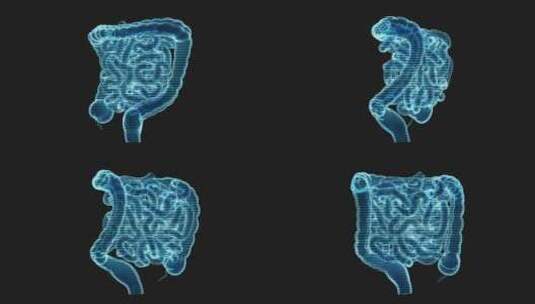 内脏器官肠道全息影像循环动画3D渲染高清在线视频素材下载