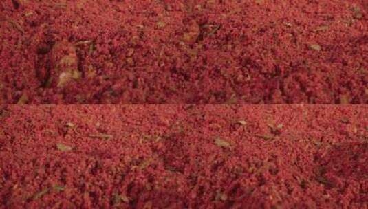 红辣椒粉堆背景中的什锦调味料香料中的红辣高清在线视频素材下载