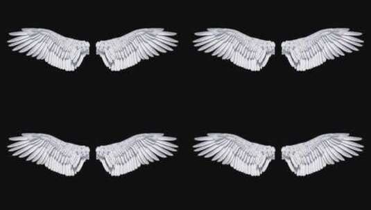 天使之翼高清在线视频素材下载