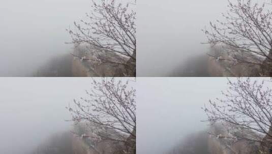 古长城春季大雾高清在线视频素材下载