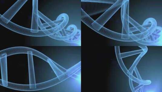 DNA链条染色体高清在线视频素材下载