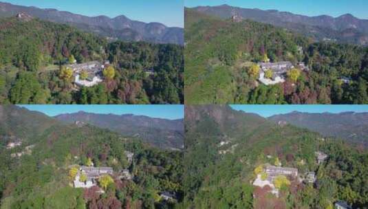 航拍深秋南岳衡山风景区福严寺千年银杏高清在线视频素材下载