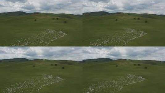 内蒙古草原草原风光   西乌珠穆沁旗高清在线视频素材下载