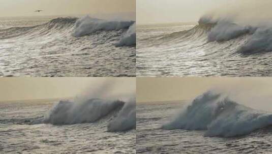 海洋，海浪，阳光，海岸高清在线视频素材下载