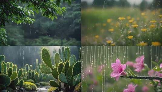 慢动作 雨天花草树木风景 雨润万物高清在线视频素材下载