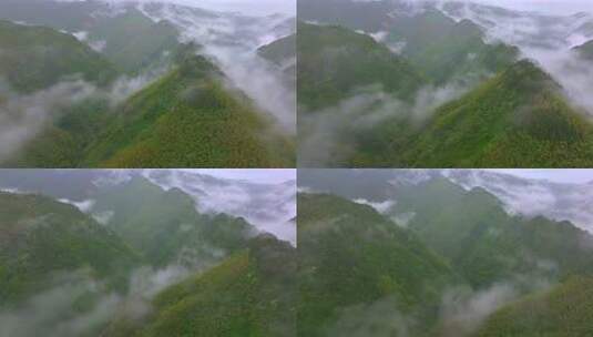 实拍雨后森林云雾缭绕 绿水青山 高山云海高清在线视频素材下载