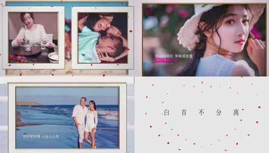 【AE模板】爱情婚礼高清AE视频素材下载