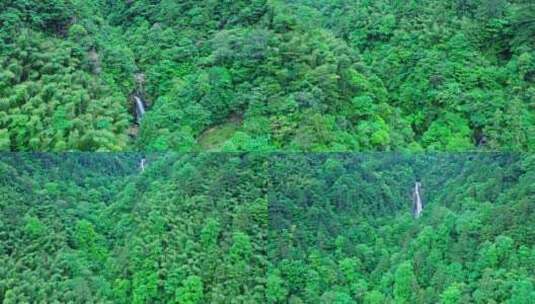 森林公园山涧瀑布沿着溪流往上飞高清在线视频素材下载