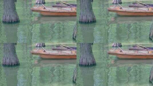 湖面上悠悠的小舟《水上森林》高清在线视频素材下载