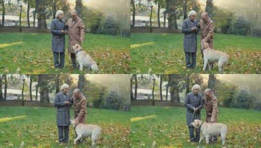 老年夫妇在公园里遛狗高清在线视频素材下载