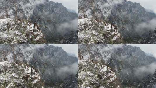 航拍佛教名山四川峨眉山，云海缭绕树林白雪高清在线视频素材下载