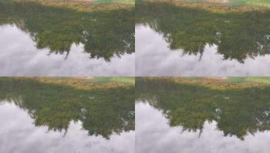 水中映射出树木的倒影高清在线视频素材下载