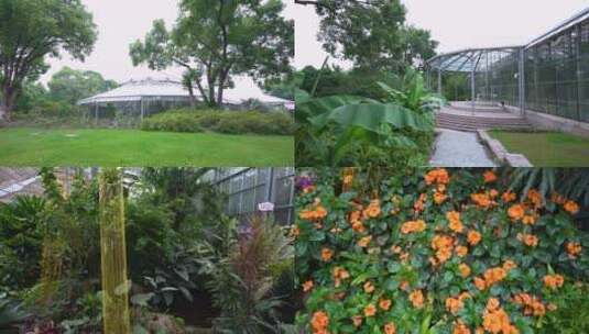 武汉植物园景观温室风景4K视频合集高清在线视频素材下载