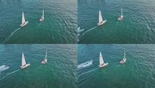 青岛帆船大海帆船航拍高清在线视频素材下载