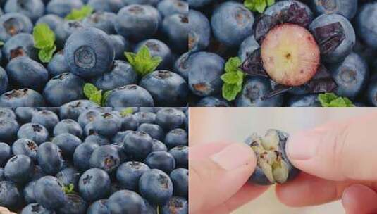 怡颗莓蓝莓高清在线视频素材下载