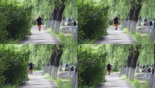 散步的老人高清在线视频素材下载