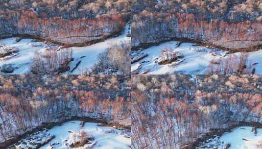 航拍早春雪原河湾红柳林高清在线视频素材下载