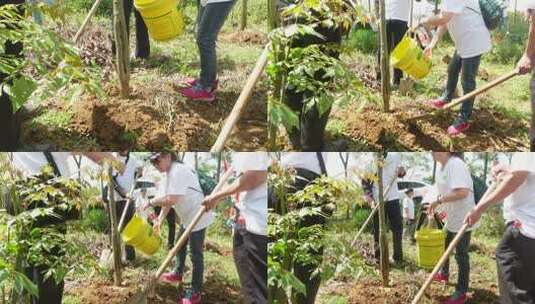 五一劳动节植树节的人们2高清在线视频素材下载