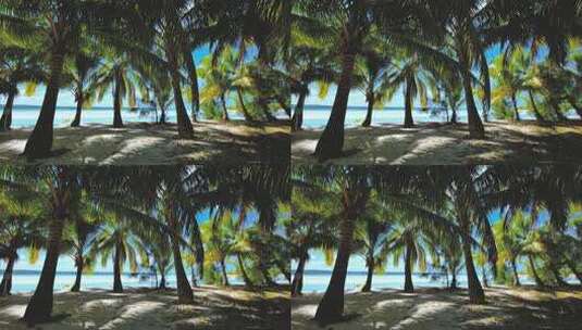 海滩海岸上的椰子树椰子掌随风摇摆高清在线视频素材下载