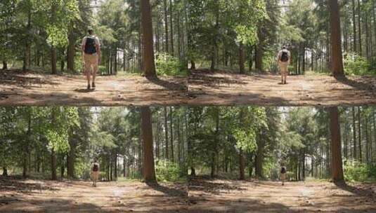 背包男在森林中徒步旅行高清在线视频素材下载
