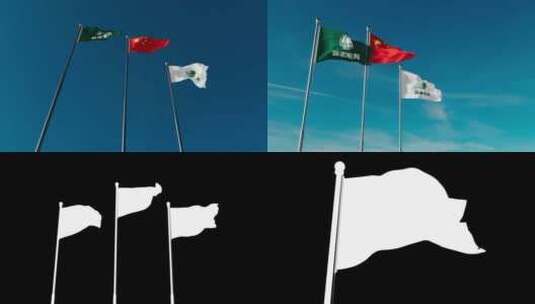 国家电网旗帜镜头合集（带透明通道文件）高清在线视频素材下载