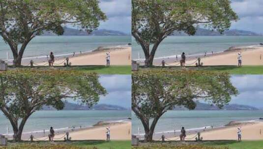 海边孤树唯美画面高清在线视频素材下载