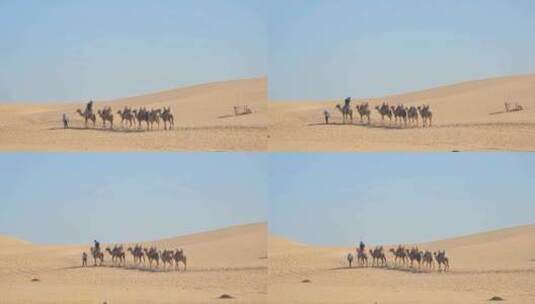 宁夏石嘴山沙湖旅游景区沙漠骑骆驼的游客高清在线视频素材下载