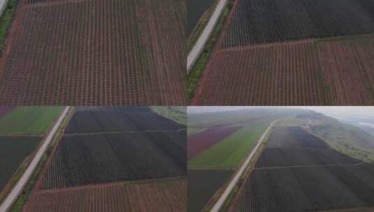 以色列、戈兰高地、梅沃哈马灌溉设备浇灌绿色大豆作物的鸟瞰图f高清在线视频素材下载
