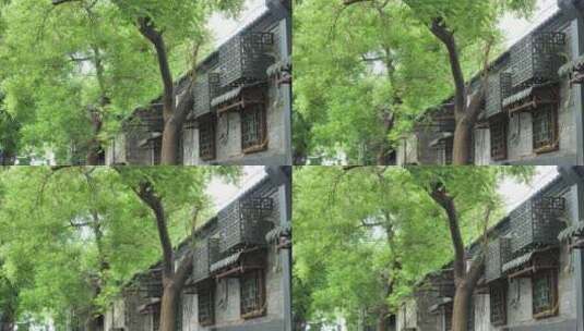 北京老城区老胡同街道生活场景旧城区高清在线视频素材下载