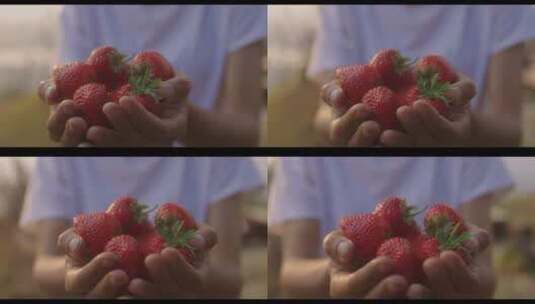 拿着新鲜红草莓水果的女人高清在线视频素材下载