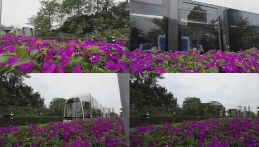 广州芭提有轨电车高清在线视频素材下载