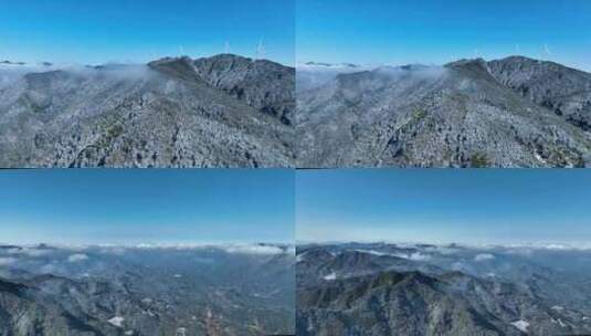 【4K】武夷山政和县白茶茶园雪景航拍高清在线视频素材下载