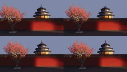 故宫 历史 北京 历史 文化高清在线视频素材下载