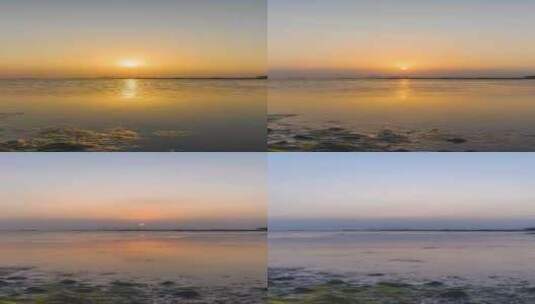 广东湛江海边滩涂退潮日落延时高清在线视频素材下载