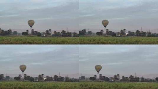 埃及 卢克索 热气球 唯美 田野高清在线视频素材下载