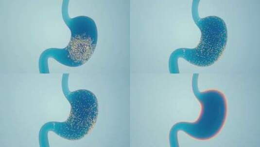 肠道消化和微生物高清在线视频素材下载