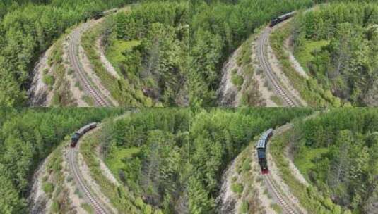 森林生态旅游观光小火车高清在线视频素材下载