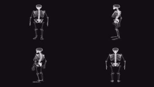 3d模型包高清在线视频素材下载