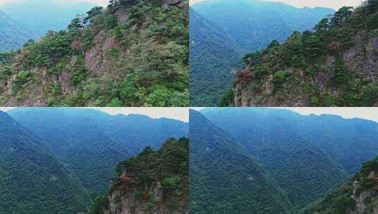 大山绿色树林森林雨林航拍高清在线视频素材下载