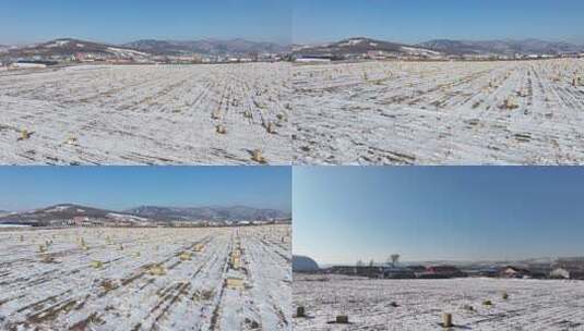 积雪覆盖的乡村田野景象高清在线视频素材下载