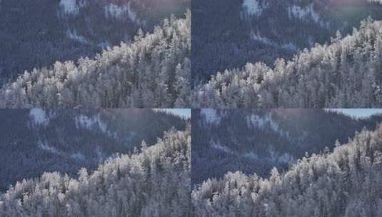 新疆喀纳斯冬季雪景航拍高清在线视频素材下载