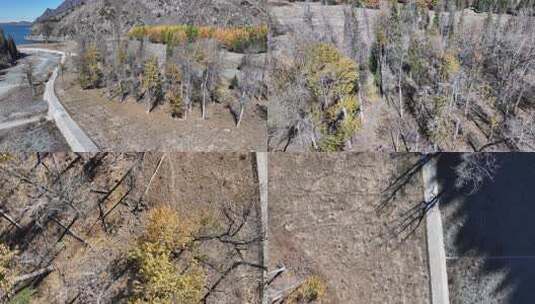 天山天池秋景航拍高清在线视频素材下载