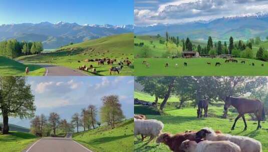 雪山公路风景 行车风景 车窗 马路高清在线视频素材下载