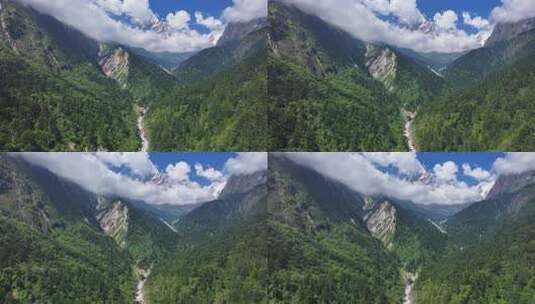 航拍四川贡嘎山区南门关沟森林河谷雪山风光高清在线视频素材下载