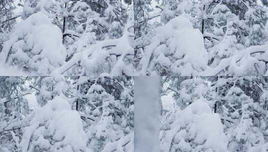 伏牛山冬季雪景雾凇高清在线视频素材下载